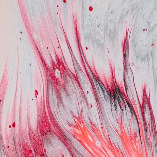 Designed gore sound effect with blood dripping from a piece of meat Main Image